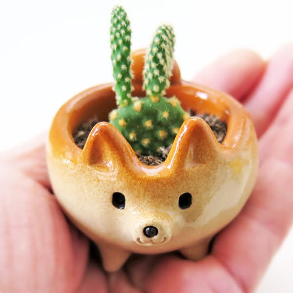 Ceramic Shiba Inus by Siro's Funny Animals