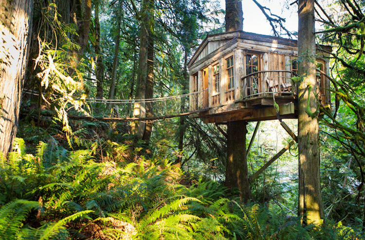 treehouses for grown-ups pete nelson treehouse point