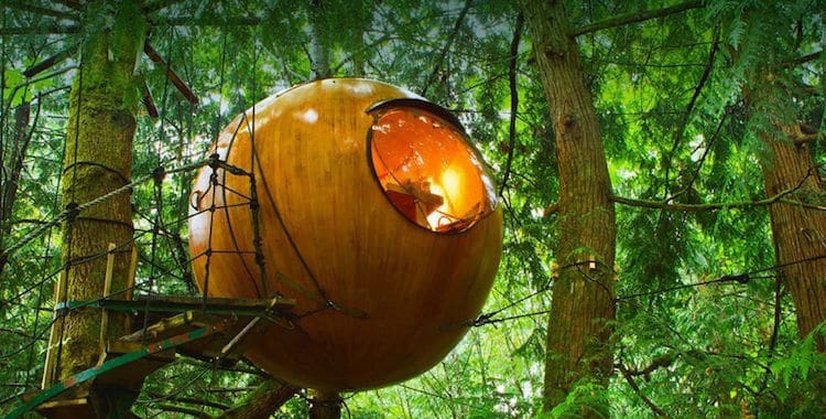 treehouses for grown-ups round treehouse Free Spirit Spheres