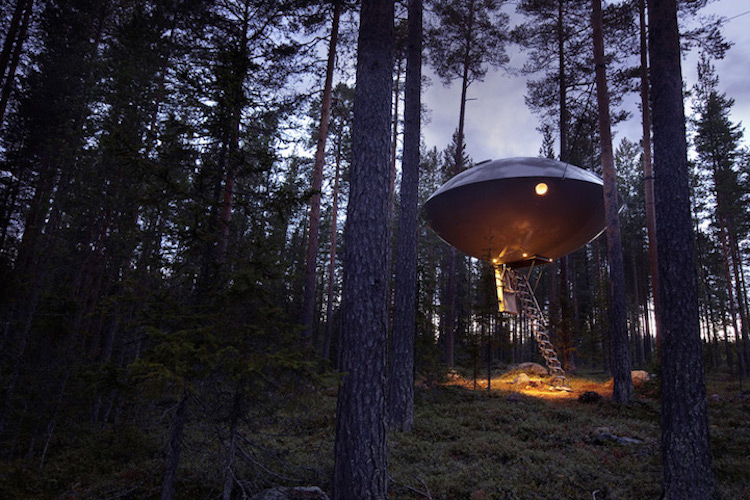 treehouses for grown-ups ufo treehotel