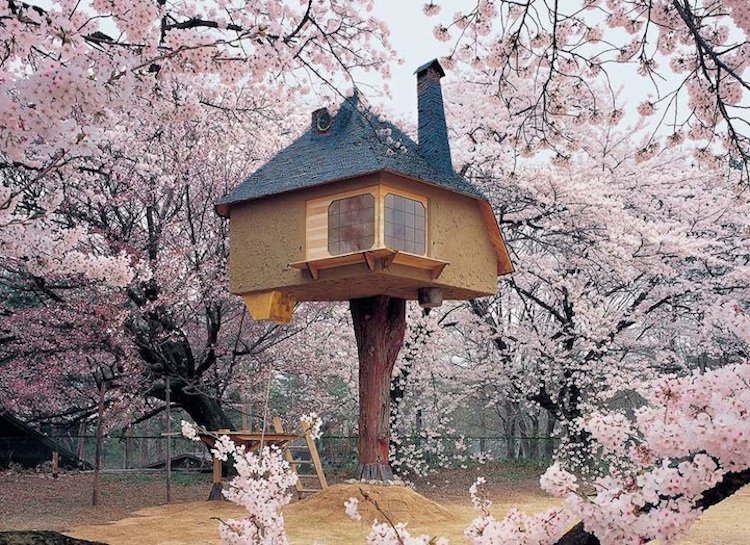 treehouses for grown-ups tetsu teahouse hokuto japan