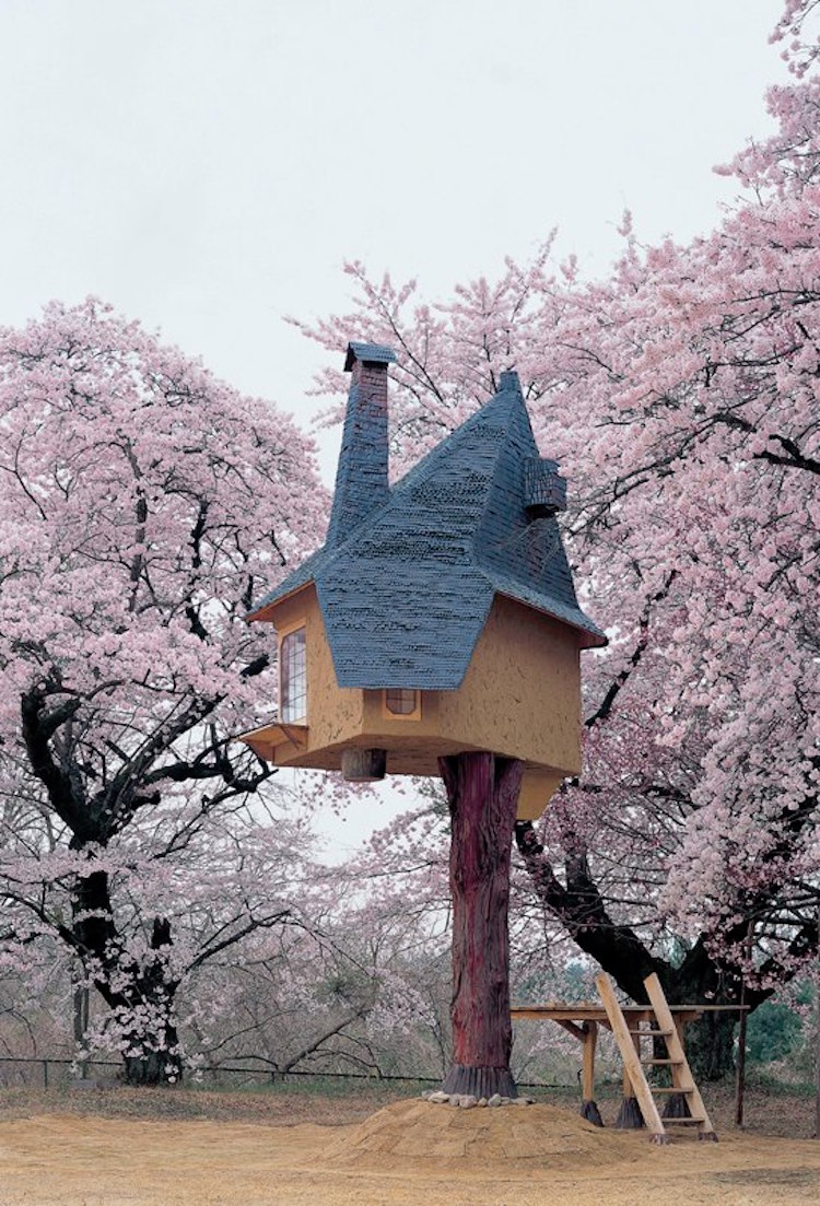 treehouses for grown-ups tetsu teahouse hokuto japan