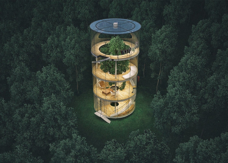 treehouses for grown-ups a masow design studio tree in the house
