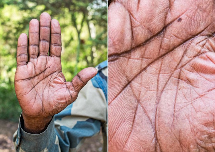 omar reda photos of hands