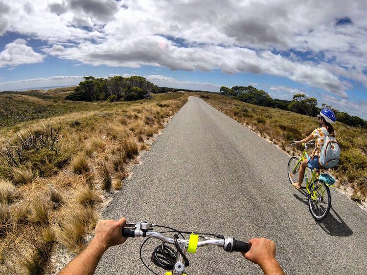 quokka selfie homme et quokka campbell jones gopro animaux mignons australie