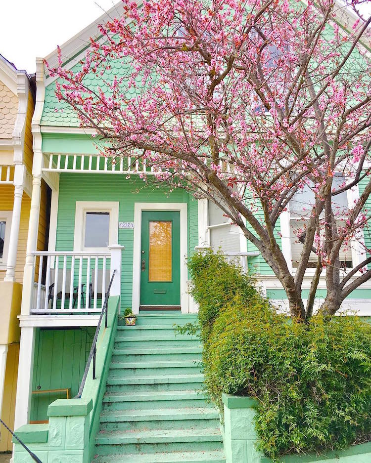 san francisco's candy-colored houses spring colorful homes architecture