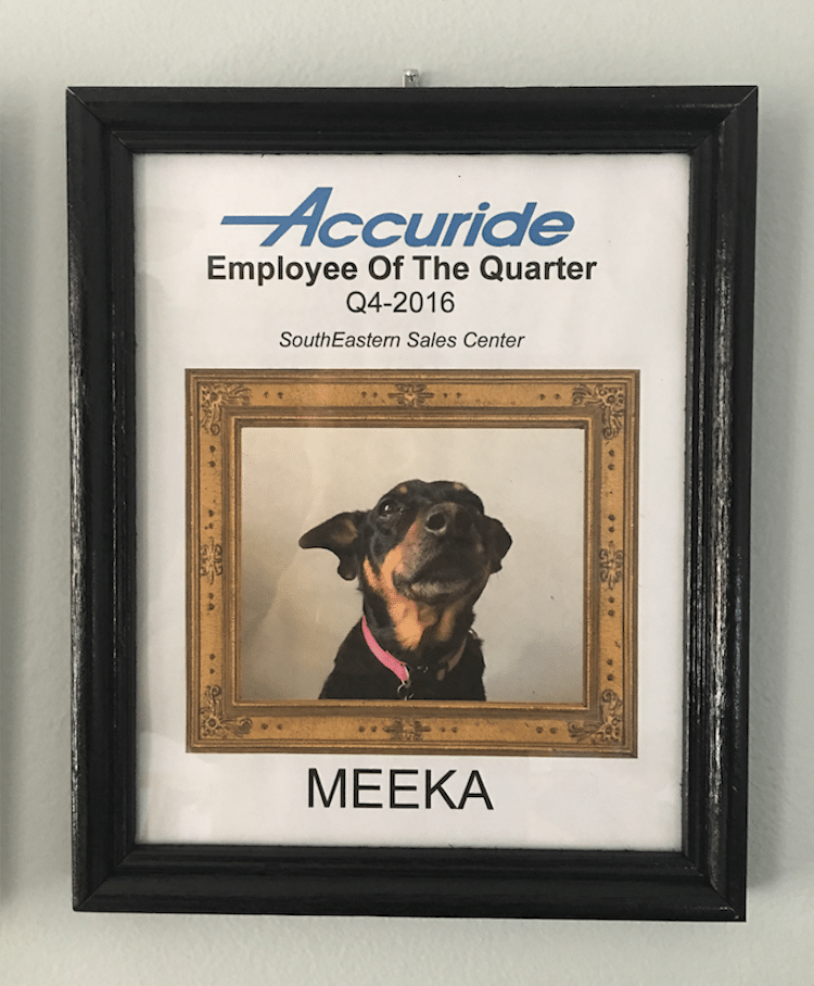 dog employee of the quarter
