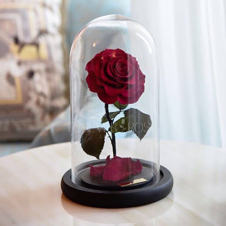 real enchanted rose forever rose london beauty and the beast