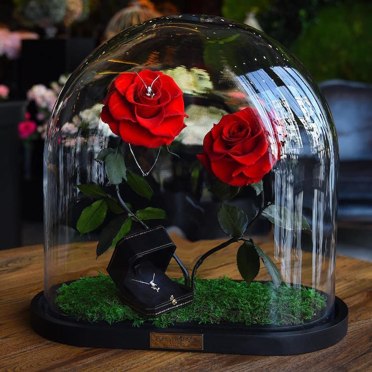 real enchanted rose flowers disney