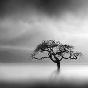 Surreal Nature Photography By George Digalakis Is Mysteriously Minimalist