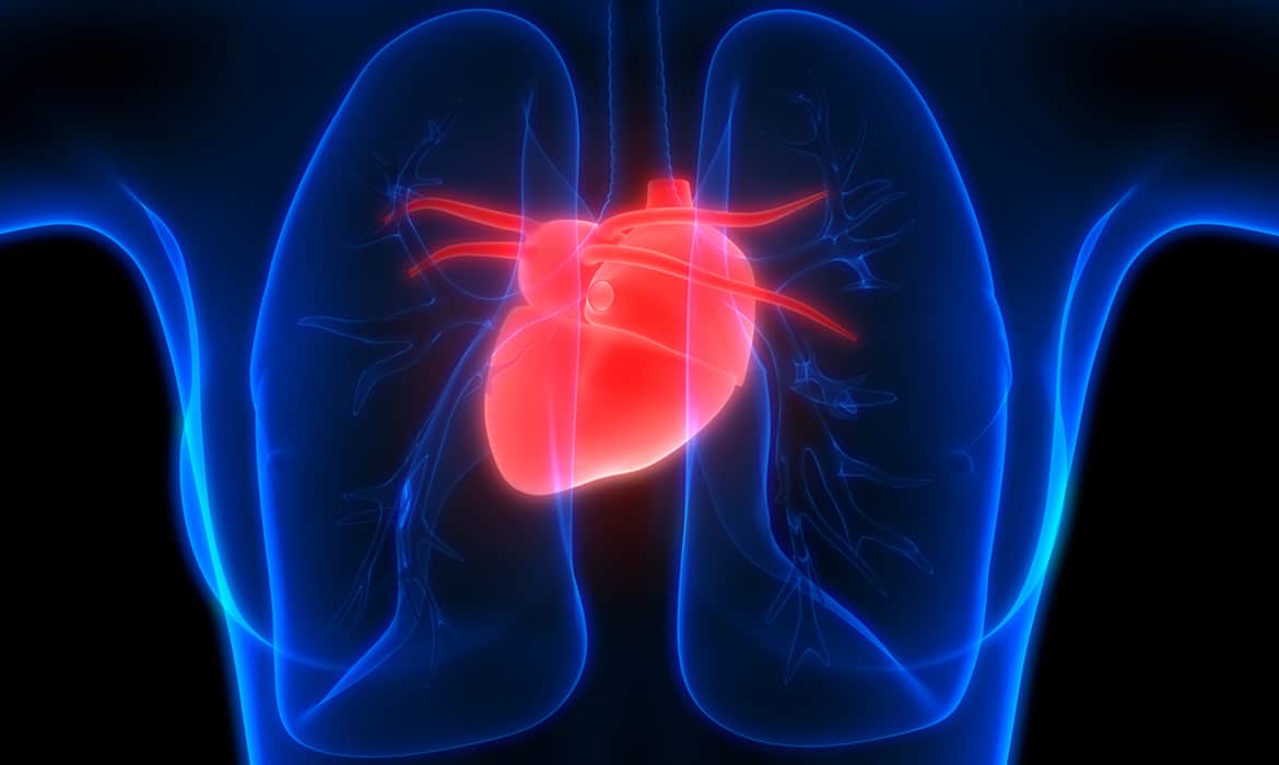 жители сердца