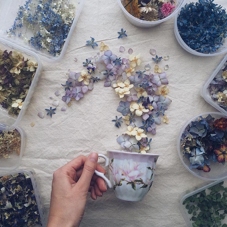 marina malinovaya floral tea story flower teacup photography