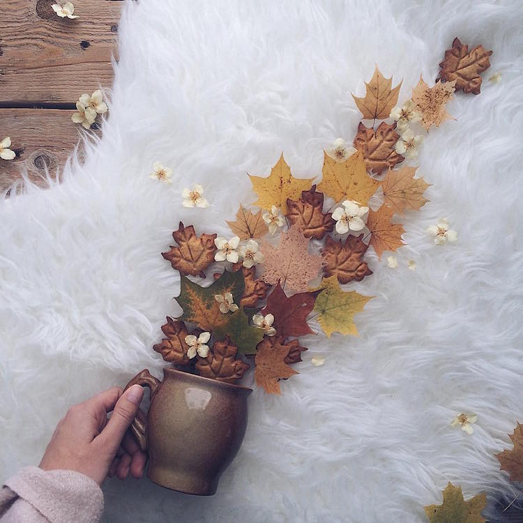 marina malinovaya floral tea story flower teacup photography autumn leaves