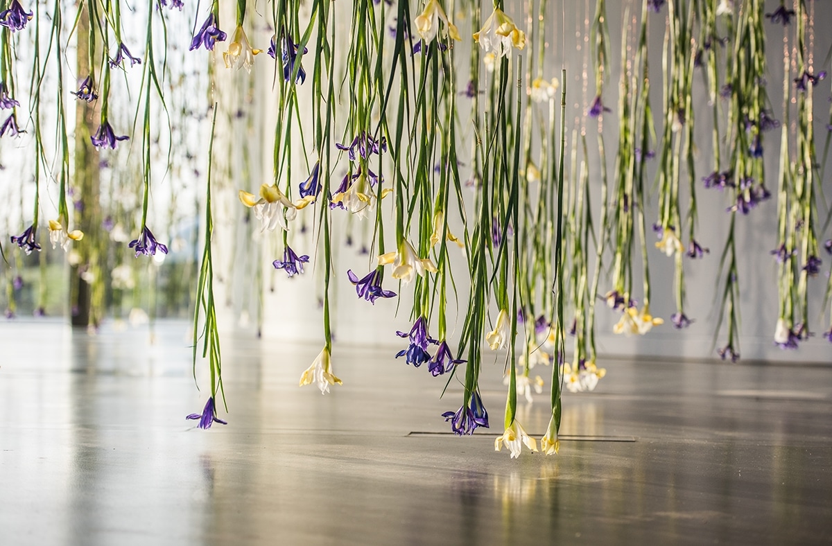 rebecca louise law the iris exhibition ephemeral art decay