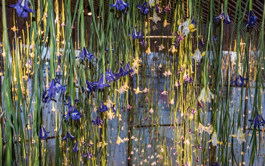 rebecca louise law the iris exhibition ephemeral art decay