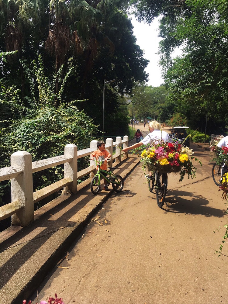 azuma makoto flower messenger flower bicycles sao paulo performance art