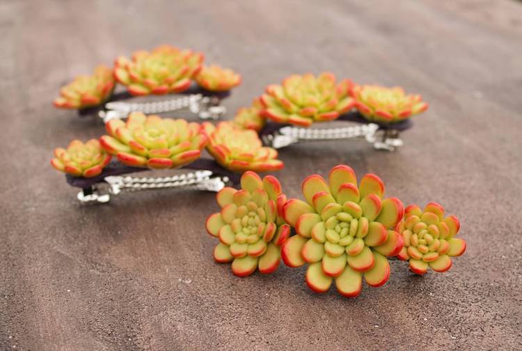 succulent hair clips