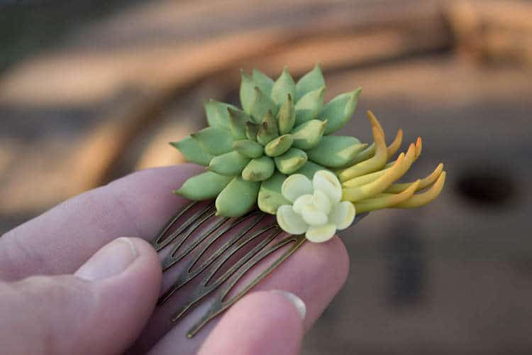 succulent hair clips