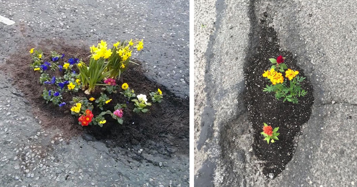 Pothole Flowers Beautify Unsightly Holes With Unique Flower Protest Art