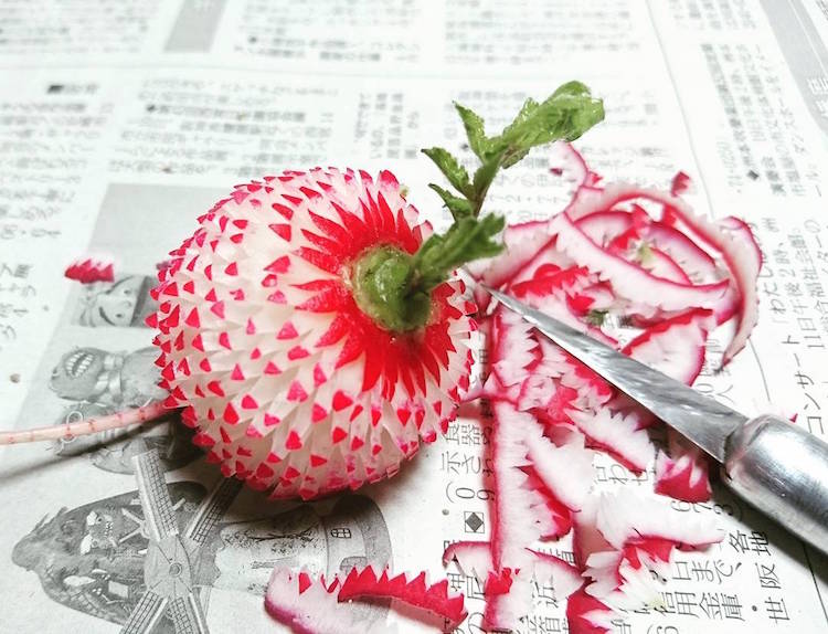 fruit art mukimono gaku