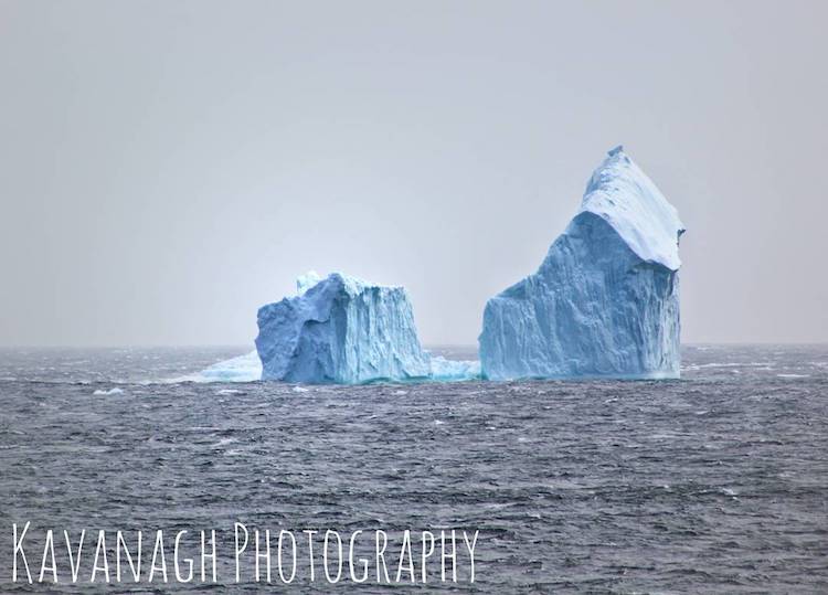 Giant Iceberg in Ferryland