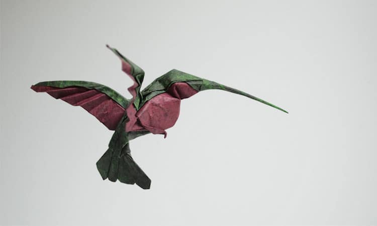 Origami de plegado húmedo de hoang tien quyet