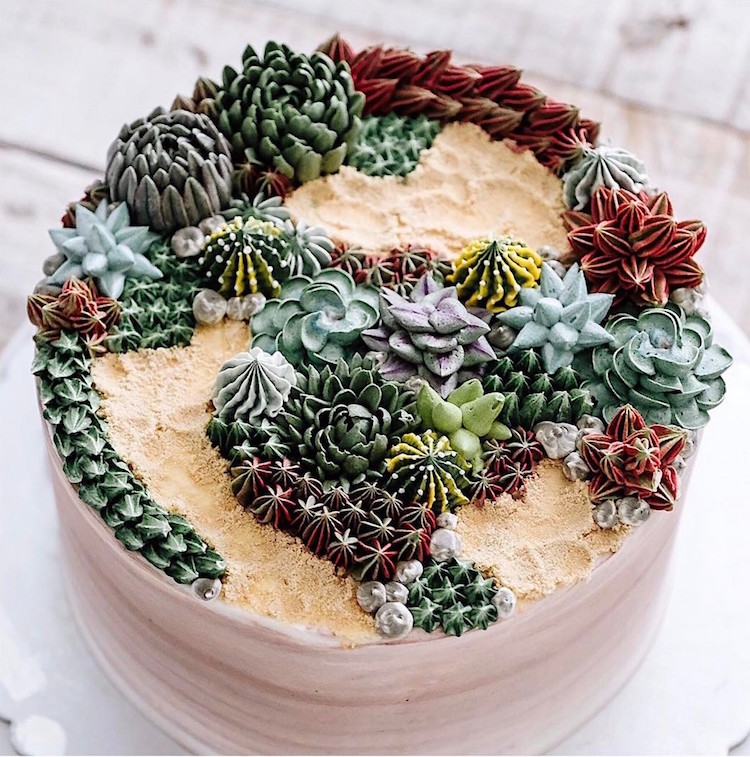 ivenoven succulent cakes cactus flowers terrarium cakes succulent cake nature dessert buttercream frosting