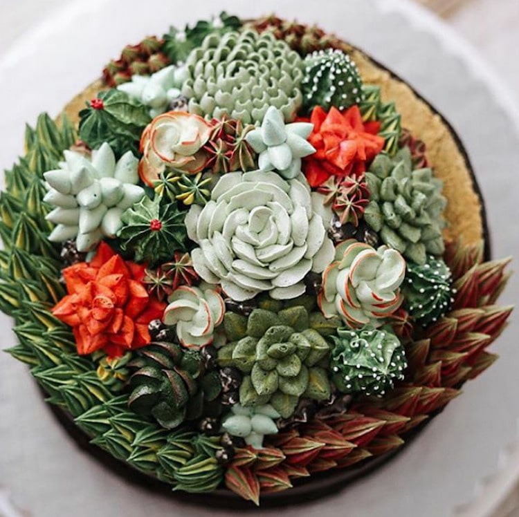 ivenoven Pasteles Decorados con Suculentas Cactus Terráneo