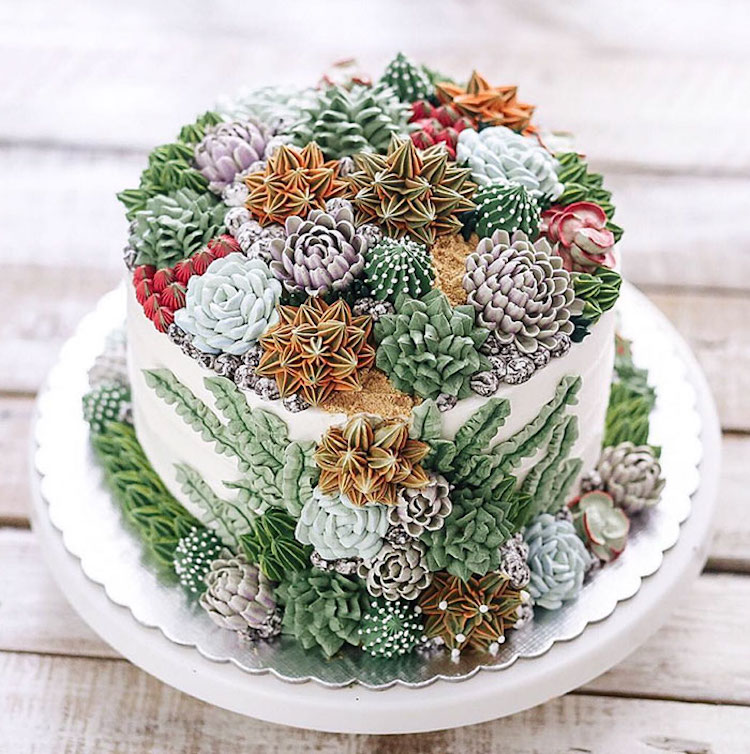 ivenoven succulent cakes cactus flowers terrarium cakes succulent cake nature dessert buttercream frosting