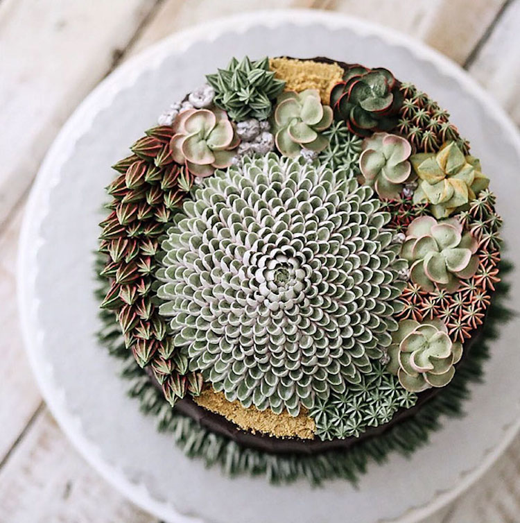 ivenoven succulent cakes cactus flowers terrarium cakes succulent cake nature dessert buttercream frosting