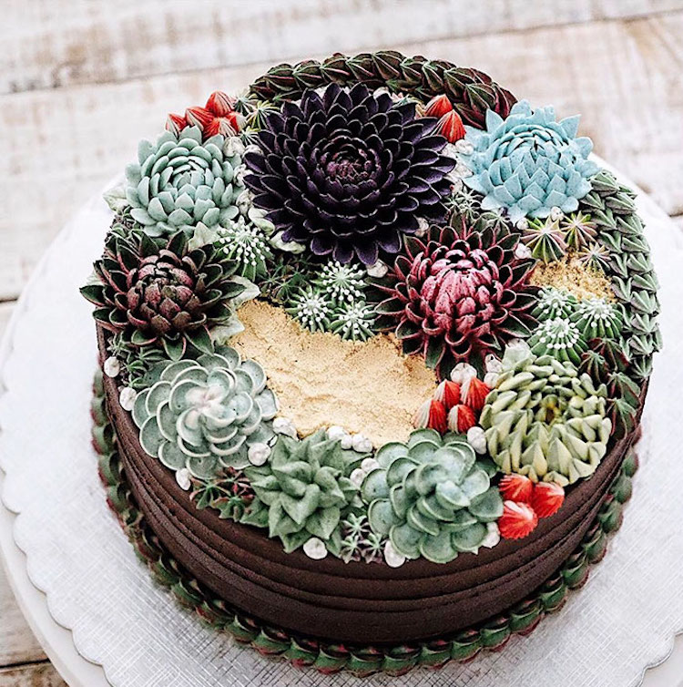 ivenoven succulent cakes cactus flowers terrarium cakes succulent cake nature dessert buttercream frosting