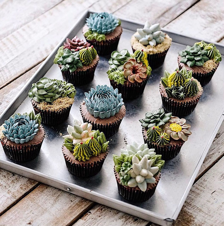 ivenoven Pasteles Decorados con Suculentas Cactus Terráneo