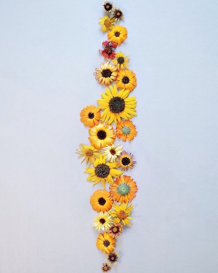 Artistic Applications Of Art Using Real Flowers
