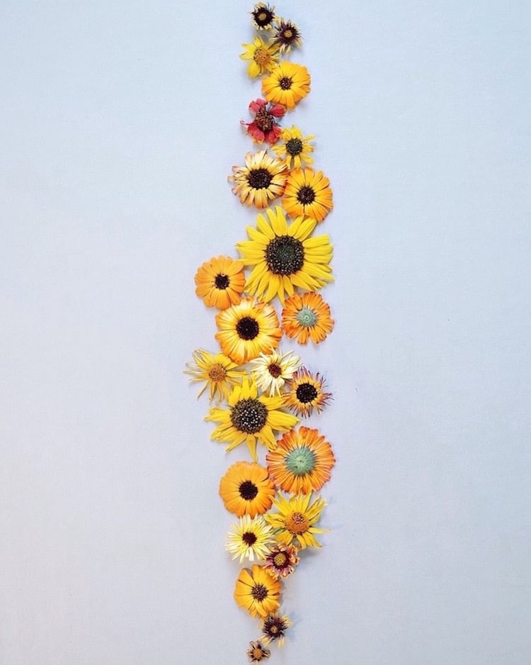 Art Made of Flowers