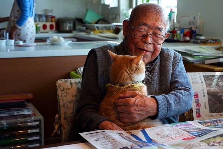 therapy cat alzheimer's