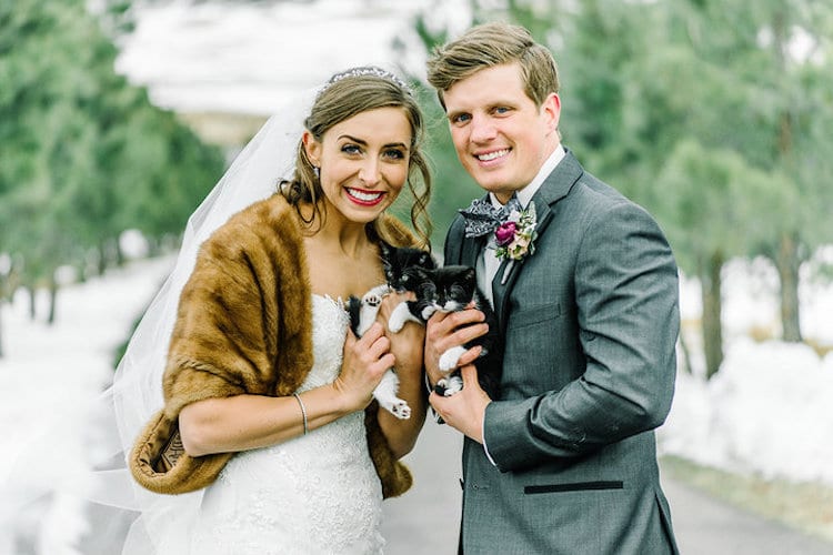 rescue kitten wedding cat-themed wedding cat wedding