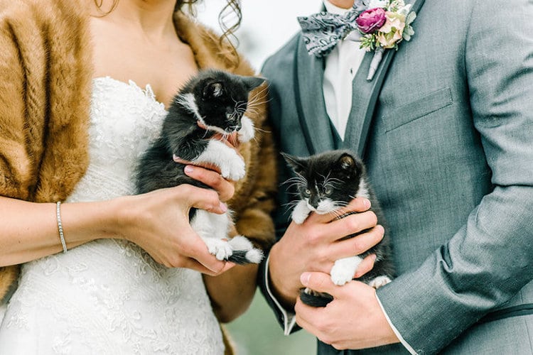 Cat Themed Wedding