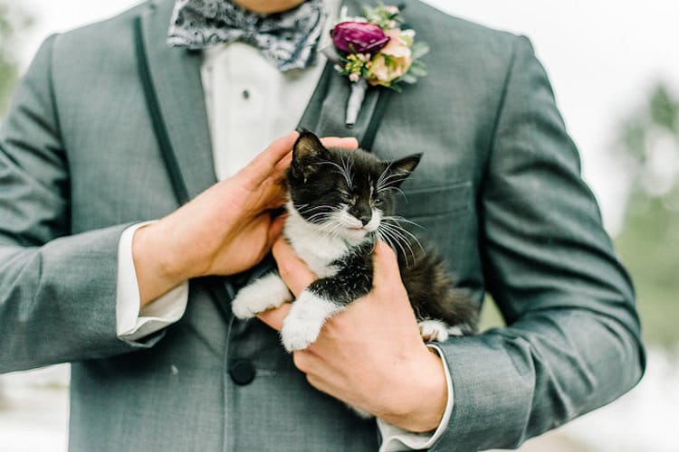 rescue kitten wedding cat-themed wedding cat wedding