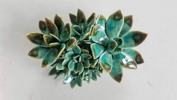 owen mann floramics ceramic succulents ceramic flowers plant sculptures