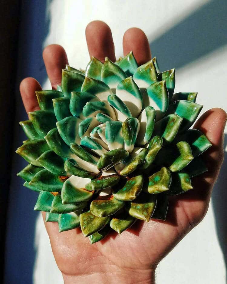 owen mann floramics ceramic succulents ceramic flowers plant sculptures