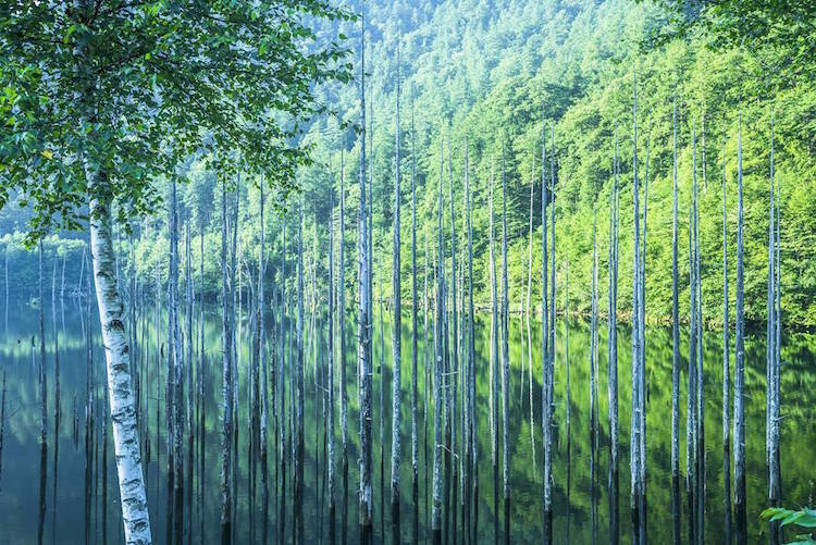 Takashi Komatsubara japan nature photos