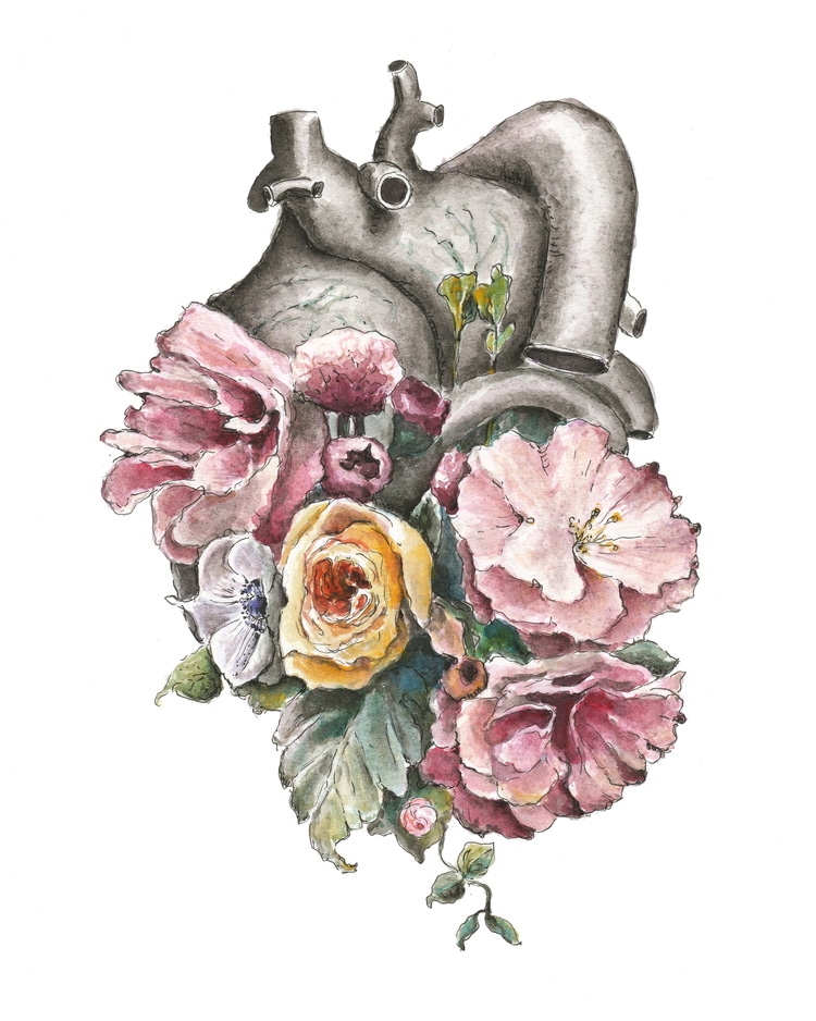 Floral Anatomy Illustrations by Trisha Thompson Adams