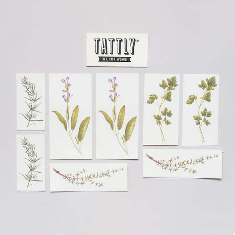 herb-scented temporary tattoos vincent jeannerot tattly herb tattoos scented tattoos