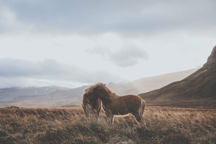 Luke Gram Iceland Travel Photography