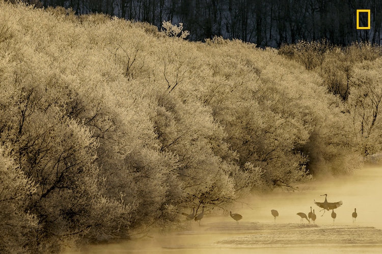 2017 National Geographic Travel Photographer of the Year Nature Photo Gallery