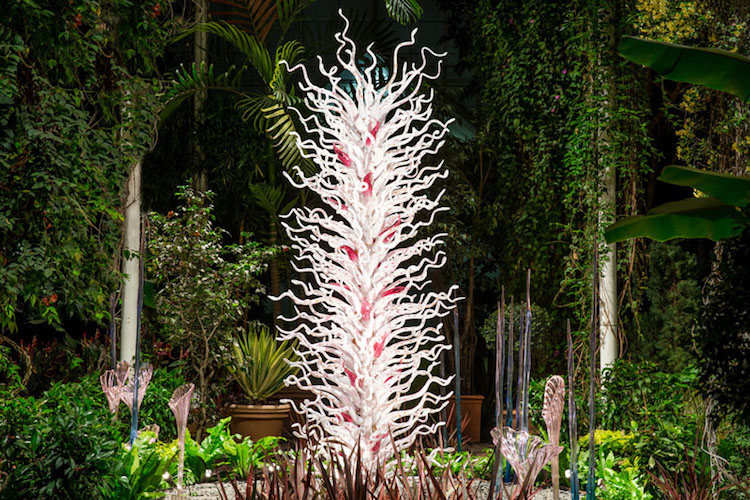 Chihuly Garden Exhibition New York Botanical Garden Chihuly Sculptures Botanical Garden