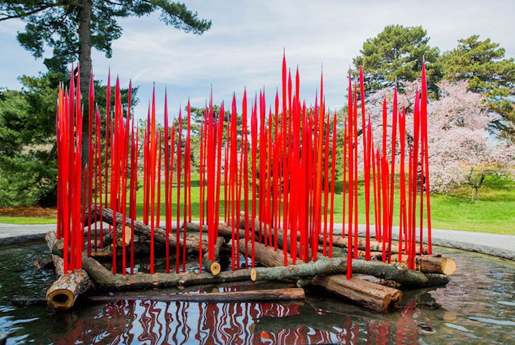 Chihuly Garden Exhibition New York Botanical Garden Chihuly Sculptures Botanical Garden