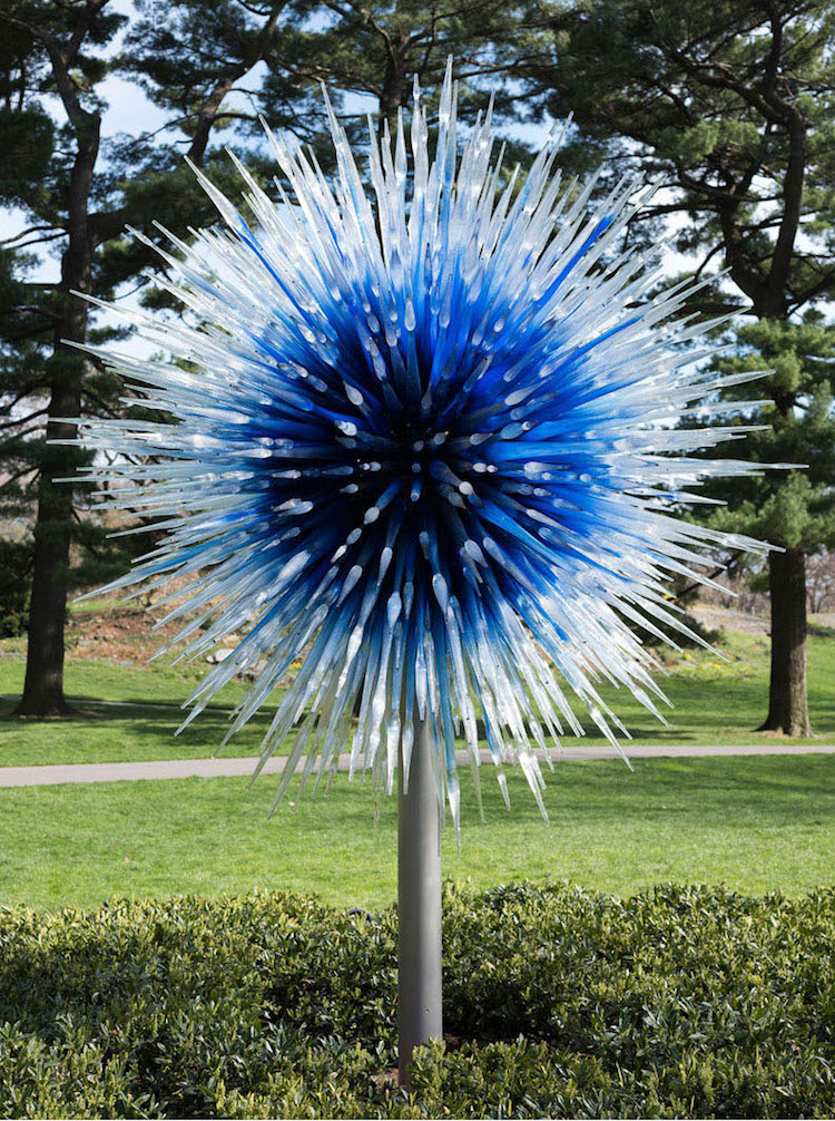 Chihuly Garden Exhibition New York Botanical Garden Chihuly Sculptures Botanical Garden