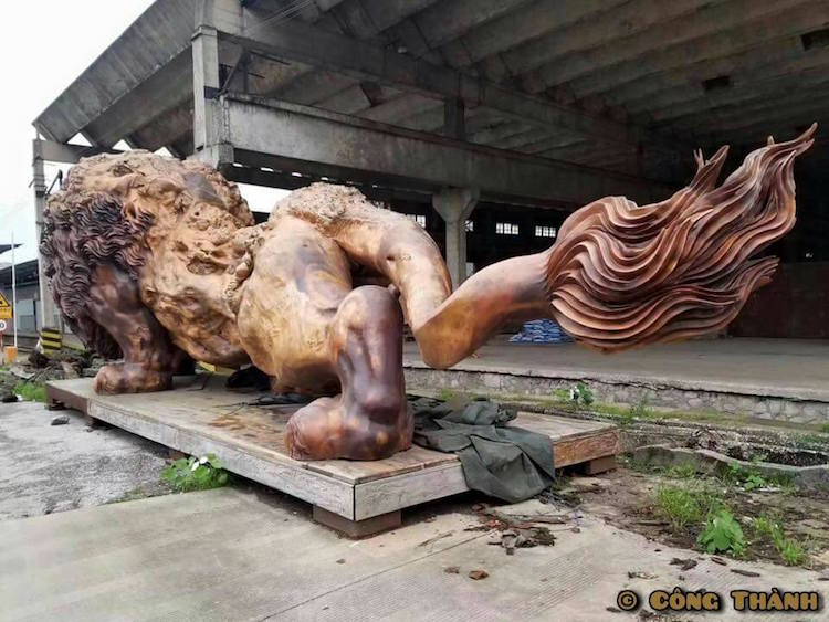 Lion Géant sculpté dans un tronc d'arbre - La plus grande sculpture en bois de séquoia du monde