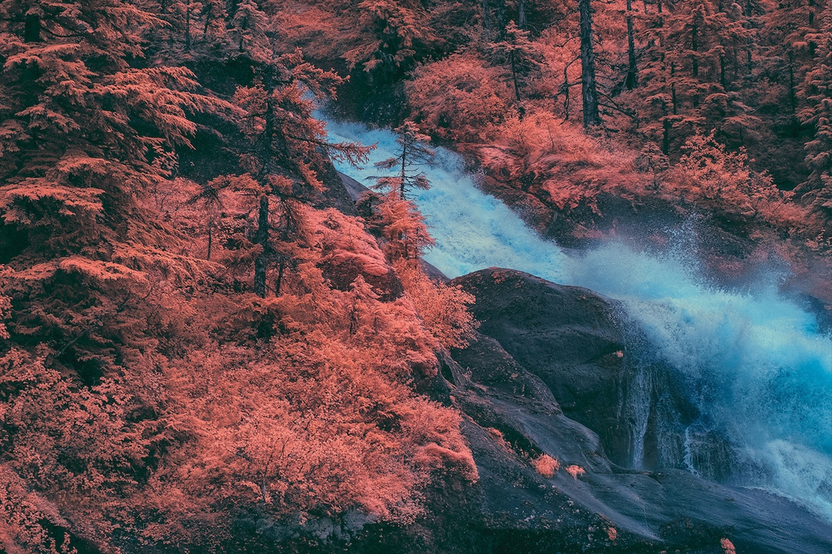 Infrared Photography